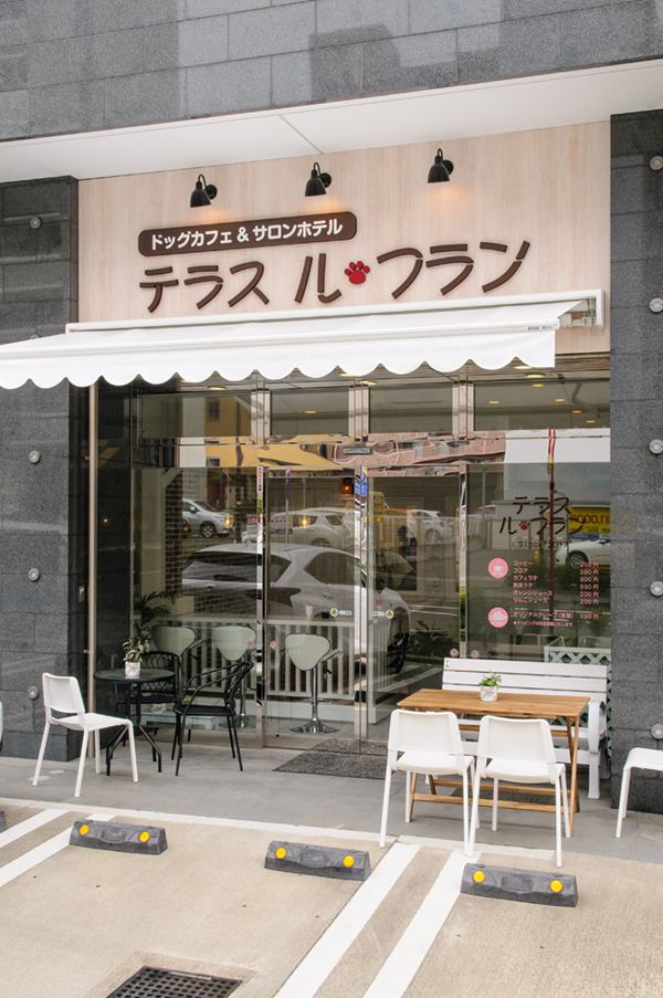 テラスル・フラン_サロンフォト