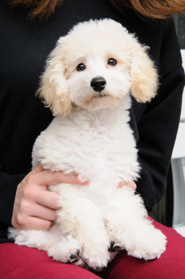 テラスル・フラン_サロンフォト