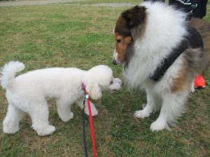 テラス ル・フラン：本日のお客様