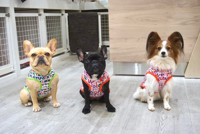 テラスルフラン卸町店_月極幼稚園